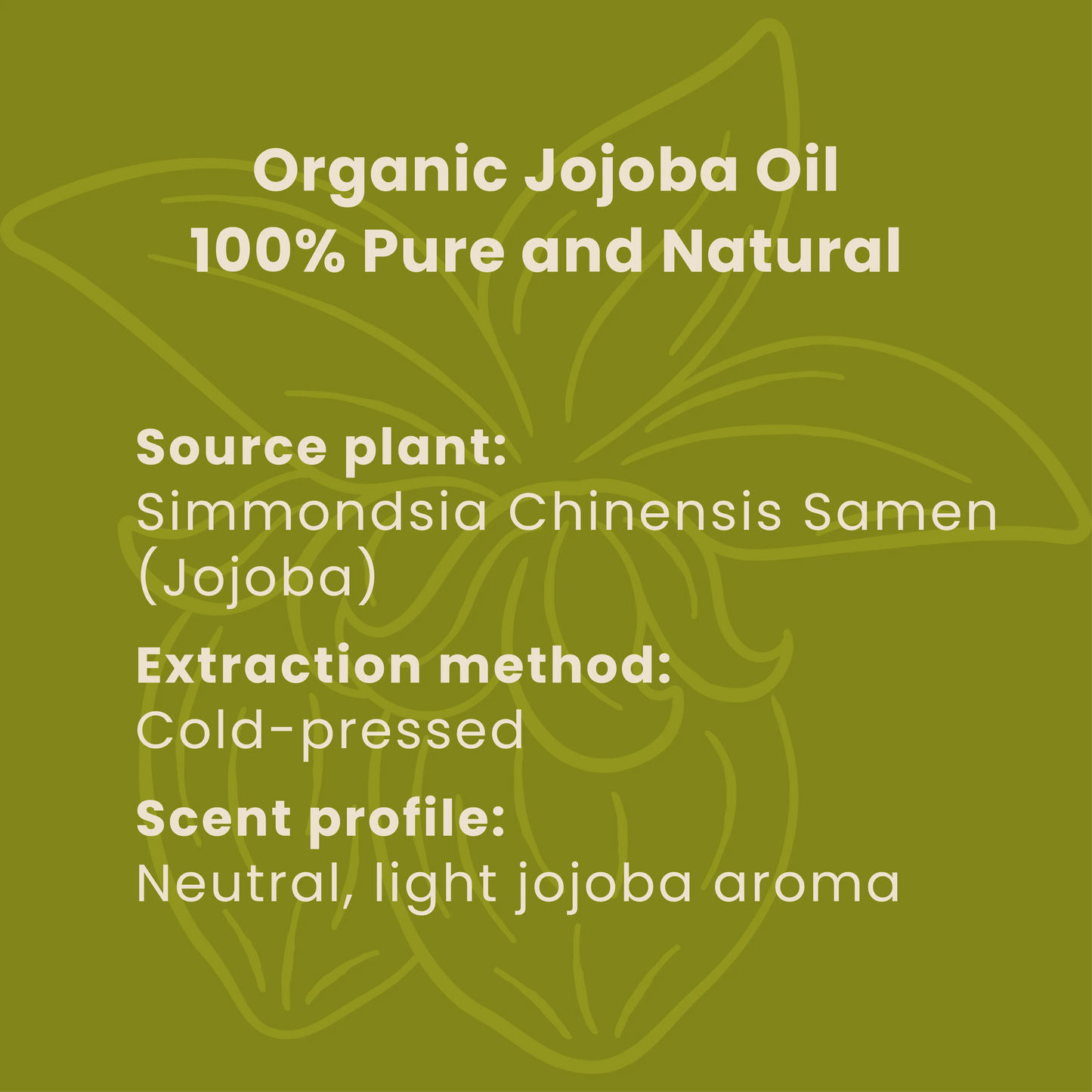 Bio Jojoba Öl Ölbalance