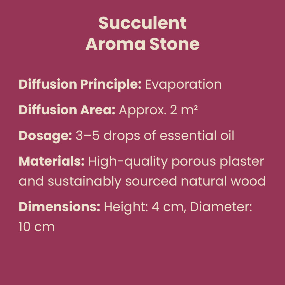 Aroma-Duftstein Sukkulente Ölbalance