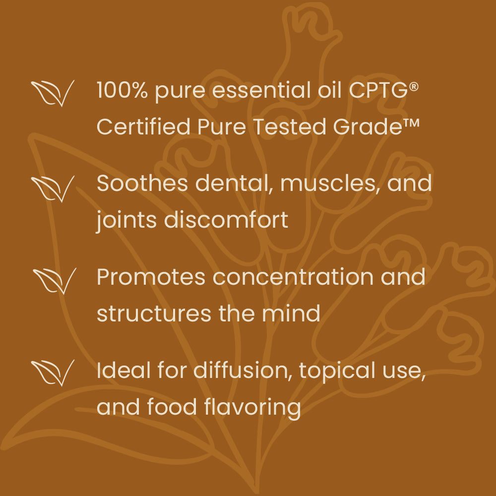 clove oil doterra properties and benefits