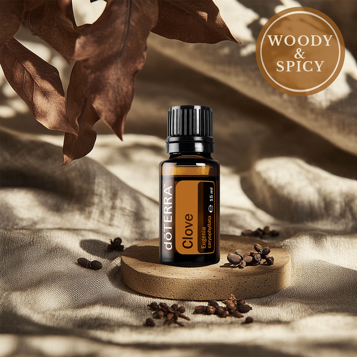 clove oil doterra scent profile