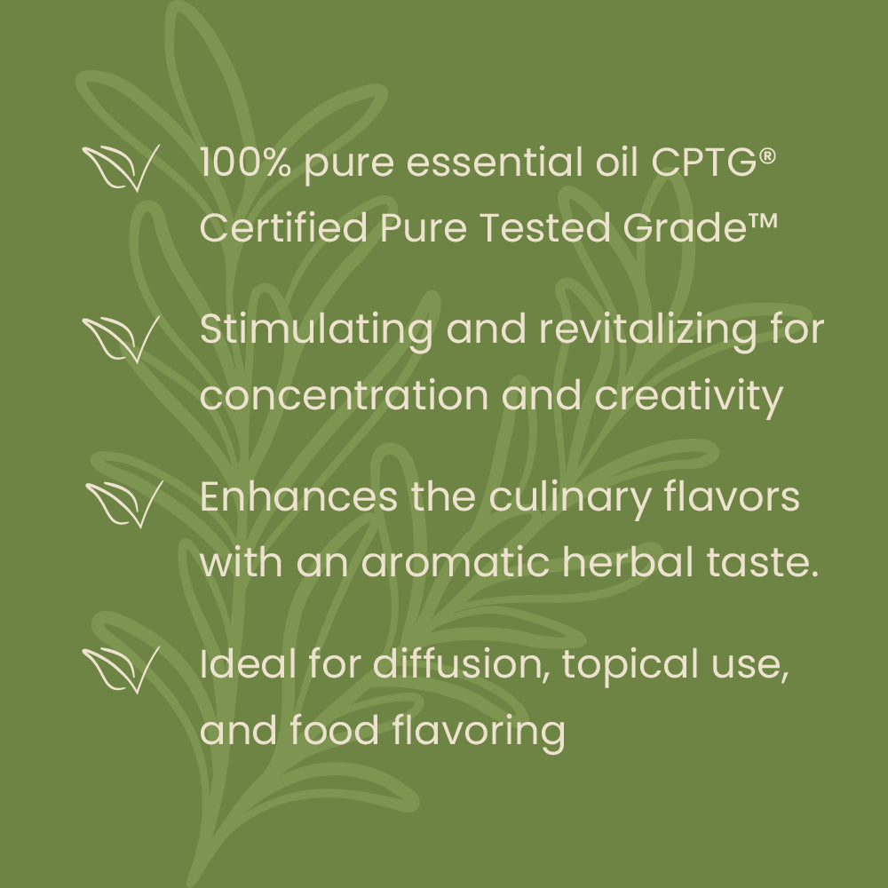 EN rosemary oil doTerra - benefits and properties