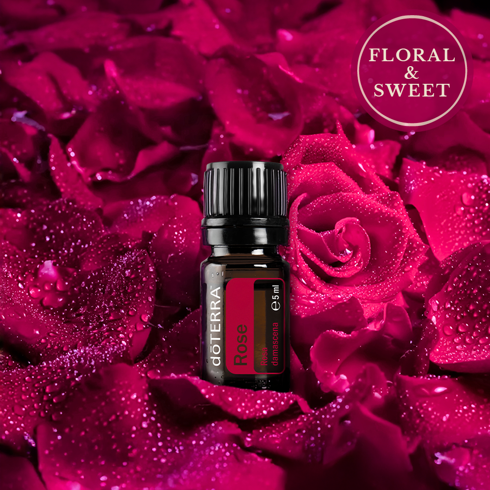 rose oil doterra scent profile